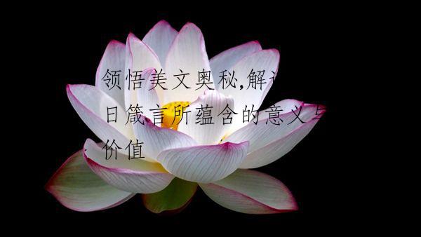 领悟美文奥秘,解读每日箴言所蕴含的意义与价值