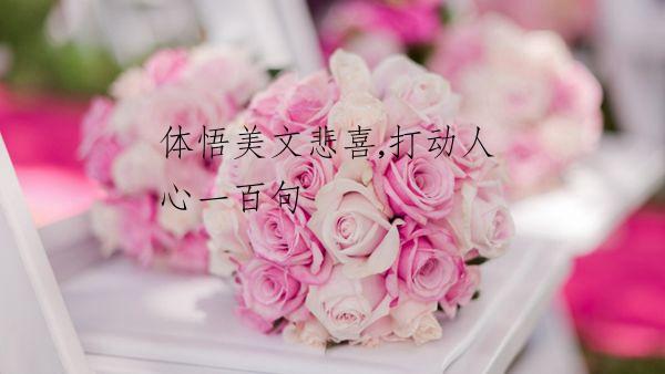 体悟美文悲喜,打动人心一百句