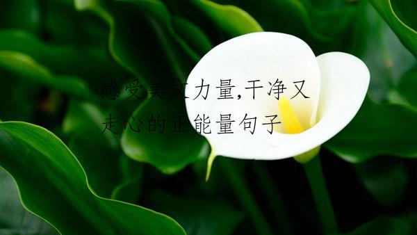 感受美文力量,干净又走心的正能量句子
